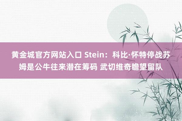 黄金城官方网站入口 Stein：科比·怀特停战苏姆是公牛往来潜在筹码 武切维奇瞻望留队