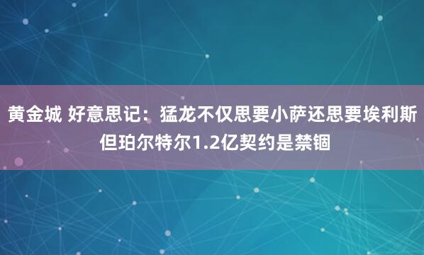 黄金城 好意思记：猛龙不仅思要小萨还思要埃利斯 但珀尔特尔1.2亿契约是禁锢