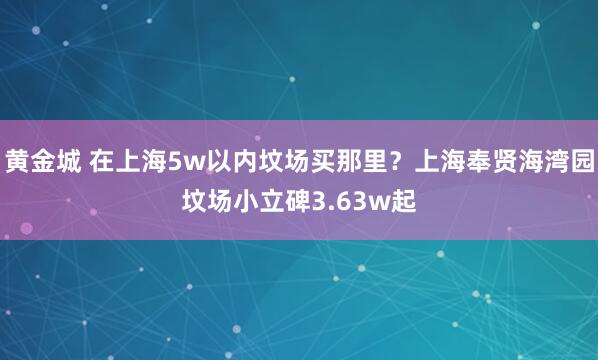 黄金城 在上海5w以内坟场买那里？上海奉贤海湾园坟场小立碑3.63w起