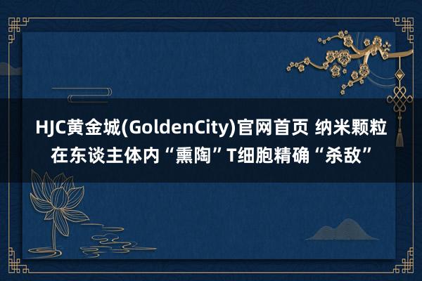 HJC黄金城(GoldenCity)官网首页 纳米颗粒在东谈主体内“熏陶”T细胞精确“杀敌”