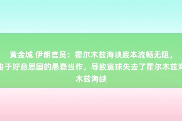 黄金城 伊朗官员：霍尔木兹海峡底本流畅无阻，但由于好意思国的愚蠢当作，导致寰球失去了霍尔木兹海峡