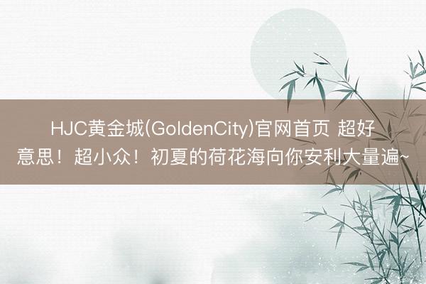 HJC黄金城(GoldenCity)官网首页 超好意思！超小众！初夏的荷花海向你安利大量遍~