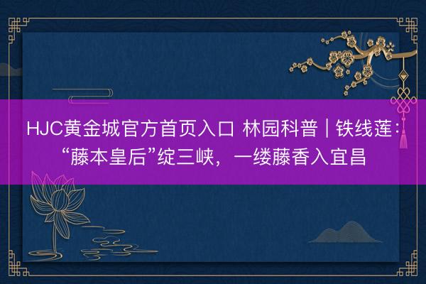 HJC黄金城官方首页入口 林园科普 | 铁线莲：“藤本皇后”绽三峡，一缕藤香入宜昌