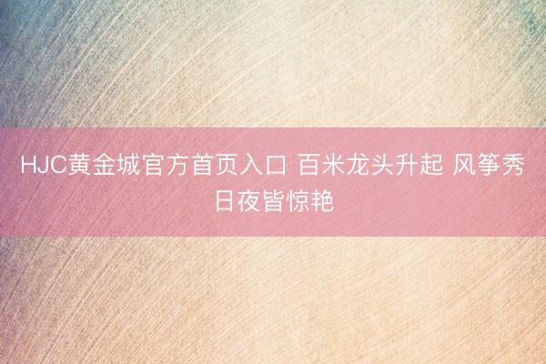 HJC黄金城官方首页入口 百米龙头升起 风筝秀日夜皆惊艳