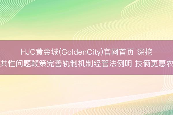 HJC黄金城(GoldenCity)官网首页 深挖共性问题鞭策完善轨制机制经管法例明 技俩更惠农