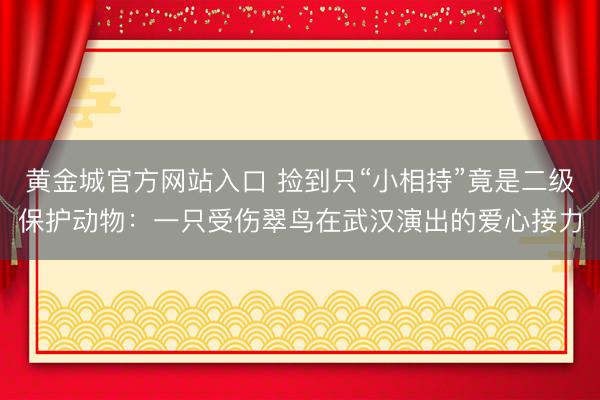 黄金城官方网站入口 捡到只“小相持”竟是二级保护动物:一只受伤翠鸟在武汉演出的爱心接力