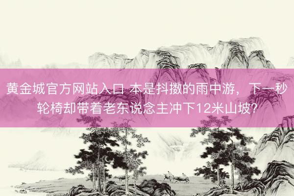 黄金城官方网站入口 本是抖擞的雨中游,下一秒轮椅却带着老东说念主冲下12米山坡?