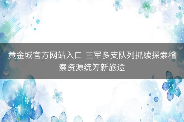 黄金城官方网站入口 三军多支队列抓续探索稽察资源统筹新旅途