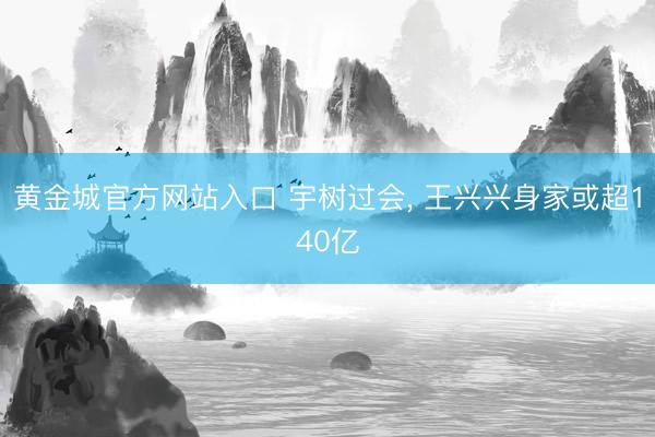 黄金城官方网站入口 宇树过会, 王兴兴身家或超140亿