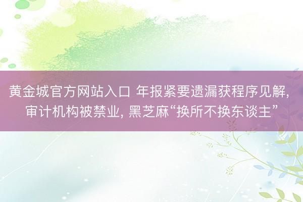黄金城官方网站入口 年报紧要遗漏获程序见解, 审计机构被禁业, 黑芝麻“换所不换东谈主”
