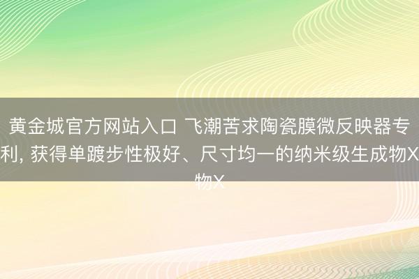 黄金城官方网站入口 飞潮苦求陶瓷膜微反映器专利， 获得单踱步性极好、尺寸均一的纳米级生成物X
