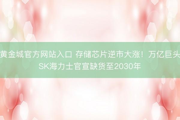 黄金城官方网站入口 存储芯片逆市大涨！万亿巨头SK海力士官宣缺货至2030年