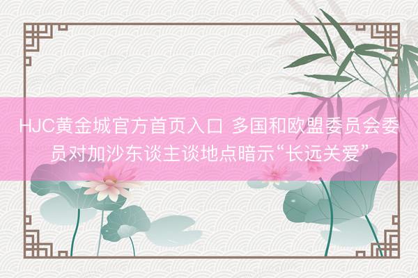 HJC黄金城官方首页入口 多国和欧盟委员会委员对加沙东谈主谈地点暗示“长远关爱”