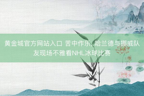 黄金城官方网站入口 苦中作乐， 哈兰德与挪威队友现场不雅看NHL冰球比赛