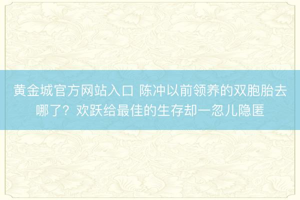 黄金城官方网站入口 陈冲以前领养的双胞胎去哪了？欢跃给最佳的生存却一忽儿隐匿