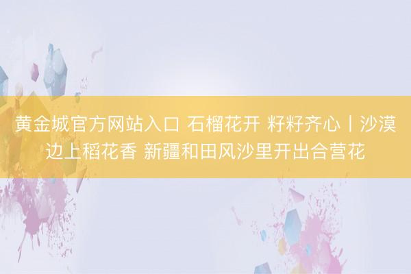 黄金城官方网站入口 石榴花开 籽籽齐心丨沙漠边上稻花香 新疆和田风沙里开出合营花