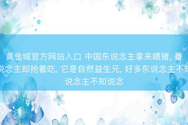 黄金城官方网站入口 中国东说念主拿来喂猪, 番邦东说念主却抢着吃, 它是自然益生元, 好多东说念主不知说念